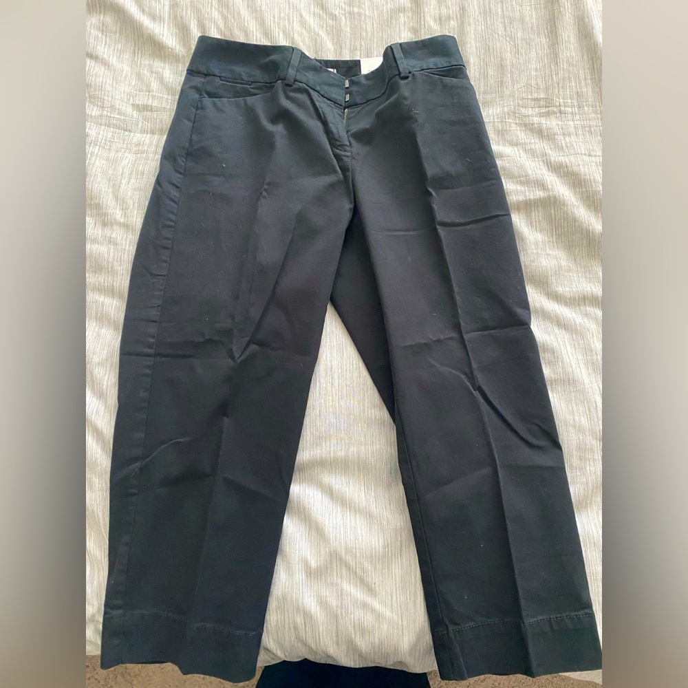 Loft Marisa Crop Pants